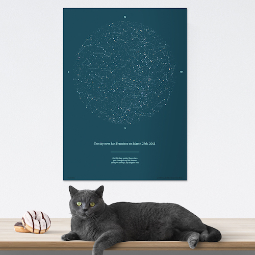 A blue grey star map with a cat beside it