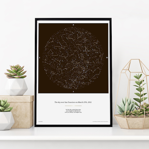 A brown Classic star map among plants in a living room