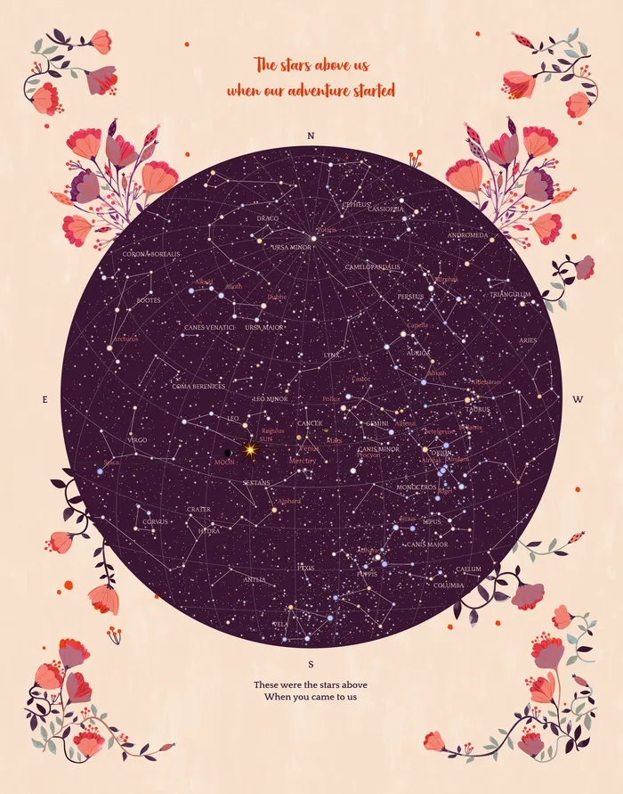 Bouquet: The stars above us when our adventure started